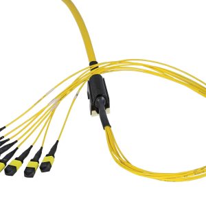 DENALI™ MPO Trunk Assemblies