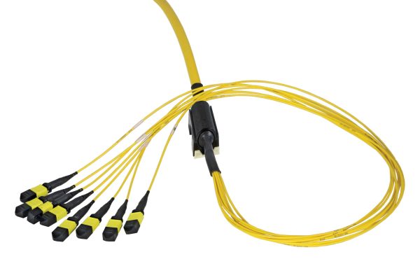 DENALI™ MPO Trunk Assemblies